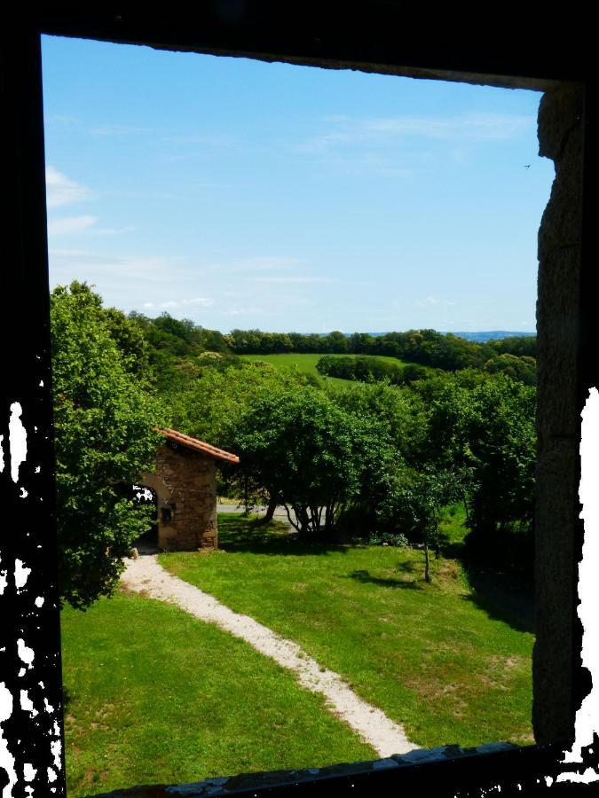 Grande Maison De Caractere En Pierres -Superbe Vue Saint-Cirgues  Kültér fotó